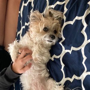 Meet your Posher, Jamie